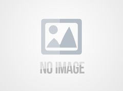 2026 Kickoff: Major Gas Players Announce Price Hikes